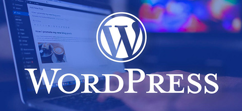 webidentity wordpress développement
